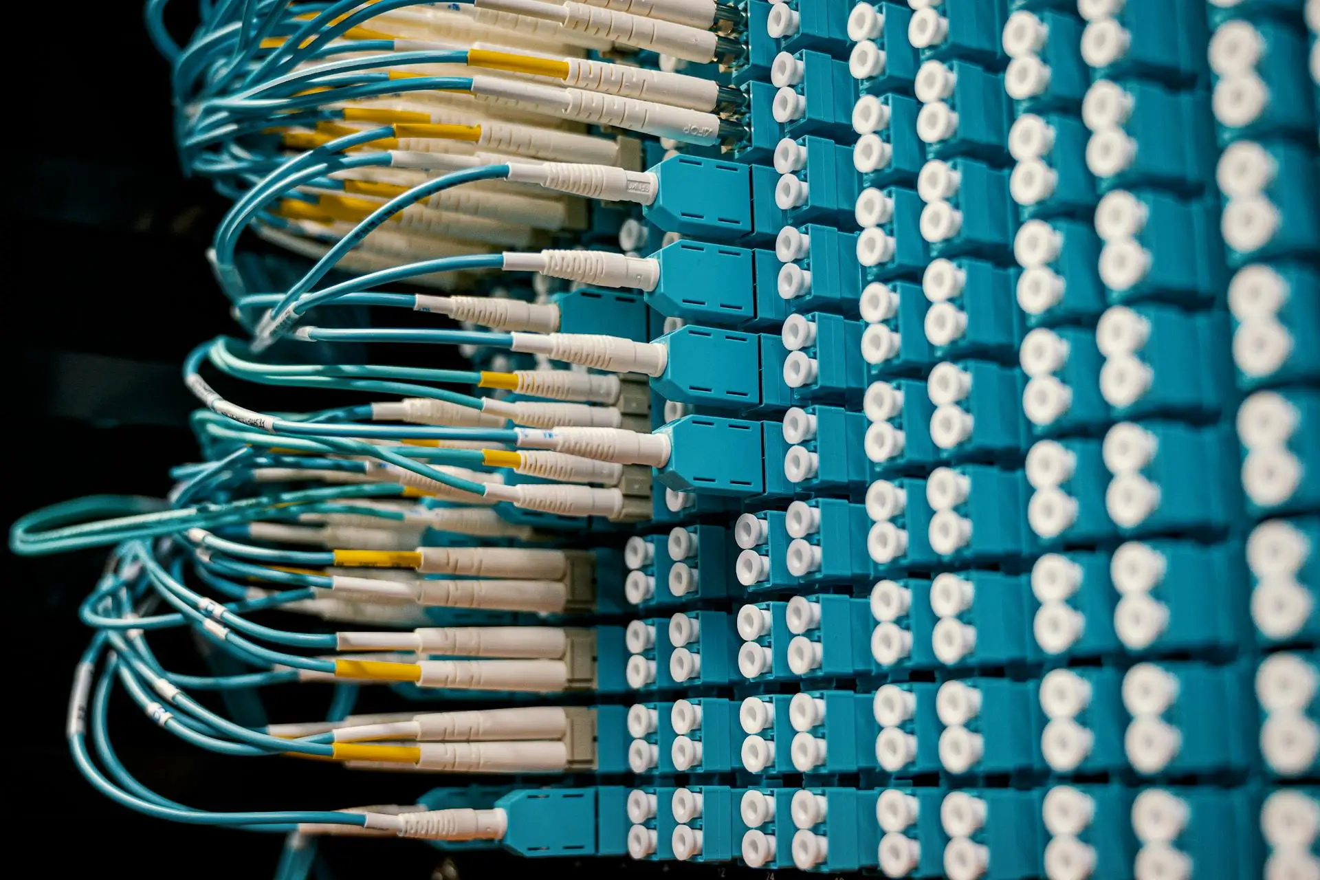 Close-up of an array of blue and white network cables and connectors plugged into a server rack. The orderly rows of cables are connected to ports, suggesting a data center or server infrastructure environment.