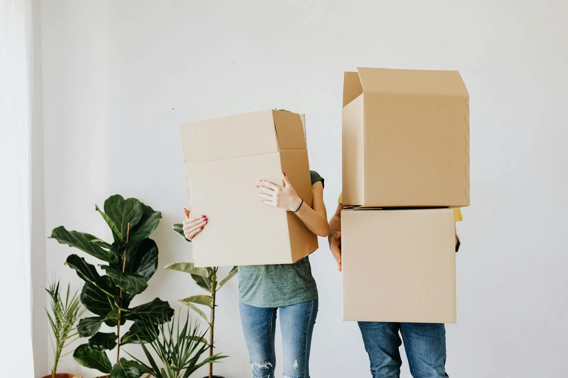 Two people standing side by side, each holding a large cardboard box that covers their face. They are casually dressed, and there are green plants in the background against a white wall.